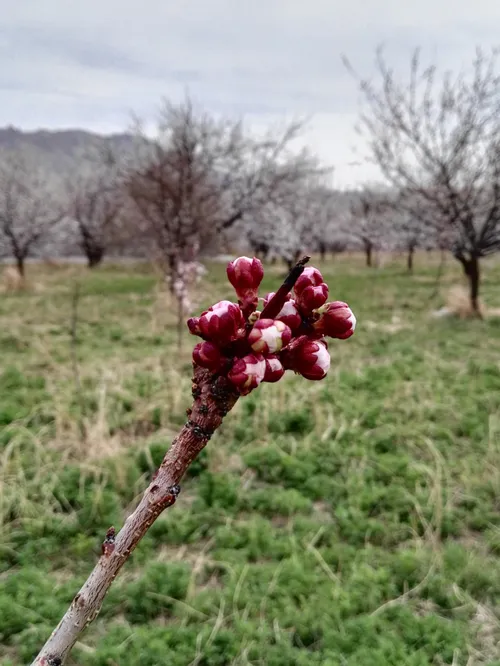 زندگی ادامه دارد...