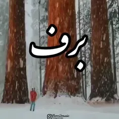 دلم یک برف سنگین می خواهد.