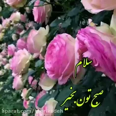 سلام صبحتون بخیر و شادی