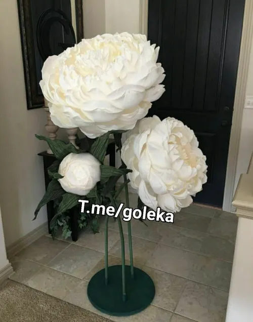 t.me/goleka 09052171300