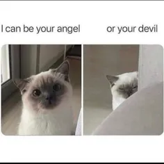 من میتونم فرشتت باشم