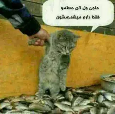 اره جون عمت