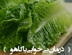 🔰درمان بی خوابی با کاهو 🔰