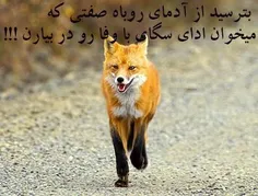 از ادمهای دورو پرهیز کنیم