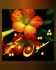 🌺#الهی🙏