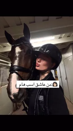اسب:))))