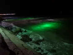 این ساحل در شب
