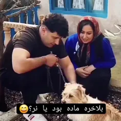 بحث کردن با دخترا اینجوریه 😂😂😂