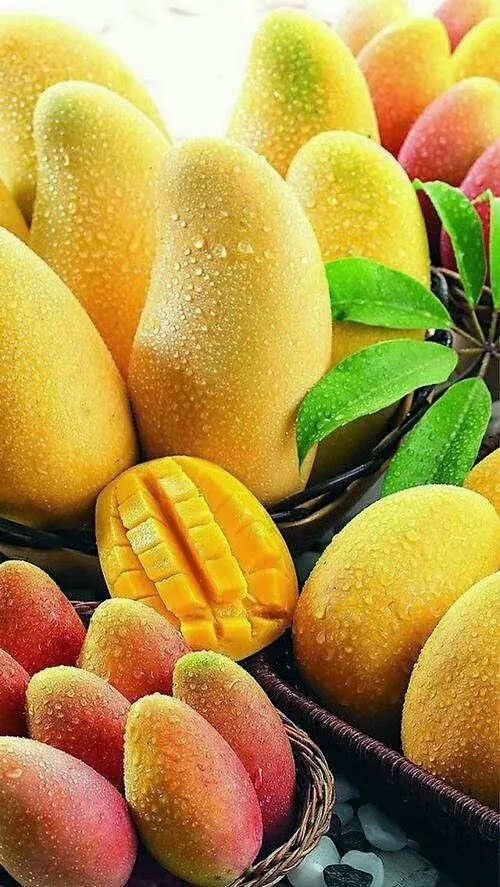 پس زمینه میوه انبه🍋🍃🍊🍌🍑🍉🍇🍍🍓🍎🍅🌽🚺💆🍀🌻👸🌸🌸😍