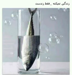 عاشق این عکسم من