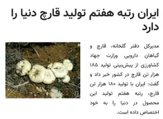 *🔻 ایران رتبه هفتم تولید قارچ دنیا*
