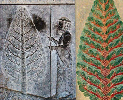 سرو یکی از نمادهای کهن ایران زمین است که نشان استقامت و پ