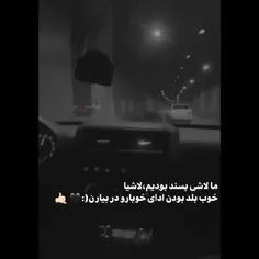 ما لاشی پسند بودیم.....