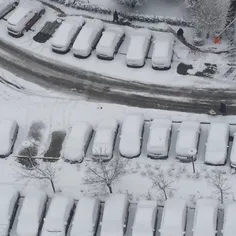 دیدین برف رو ماشینا