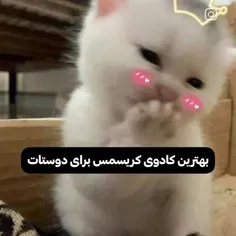 تو برای دوستت چی کیبوردی🫐