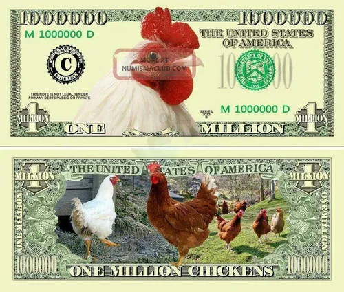 ‏رقابت مرغ و دلار در شش ماه گذشته