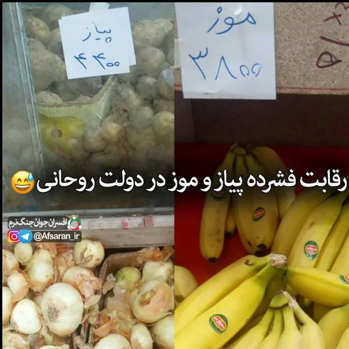 رقابت فشرده پیاز و موز در دولت روحانی