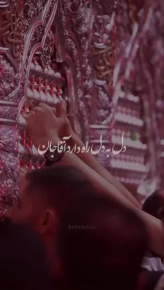 😭 ای ضریح حسین دلتنگم...