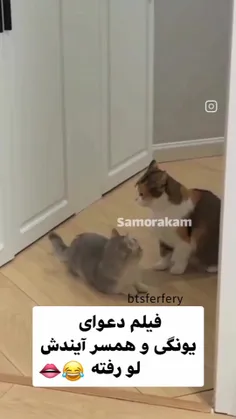 حالت پرسیدنیه خانم مین شب😂