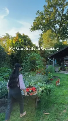 My Ghibli life in Germany🌿🍓🍅☁️⛅🫧