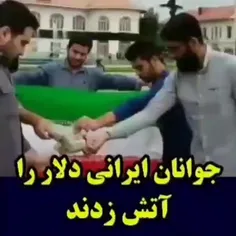 اگر غیرت ایرانی مبنی بر نخریدن دلار و مسکن و سکه خودرو بخ