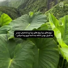 👆🏻اینو قرمز می‌کنیـ 🍯