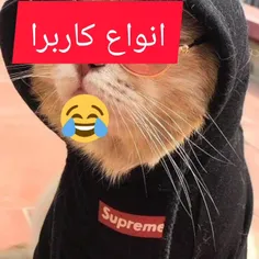 از کدوم نوعی؟😂