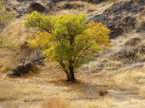 چشمهایمان را روی اتفاقهای کوچک نبندیم،🍃