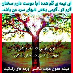 نیمه گمشده ام 