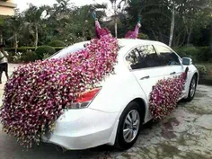 کی از این ماشین عروسها میخواد..