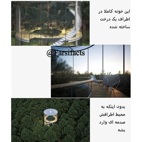 درخت naturefarsifacts