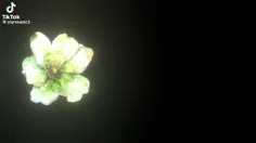 بلاخره معنیش رو پیدا کردم😫🛐