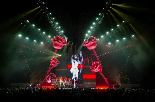 WITNESS TOUR~~KATY PERRY