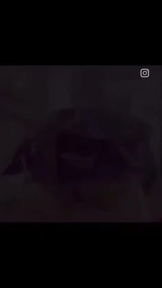 بله بله این طور است