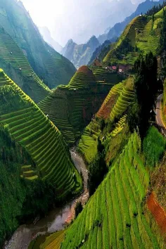 مزارع طبقاتی بسیار زیبا و عجیب در دره ی رودخانه ای در کشو