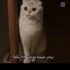 استغفرالله 😂