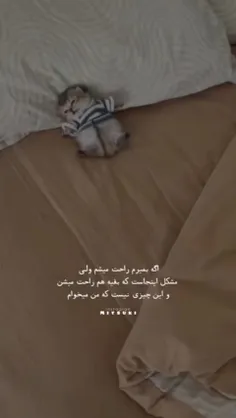 راس میگه