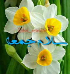 سلام به جمعه 