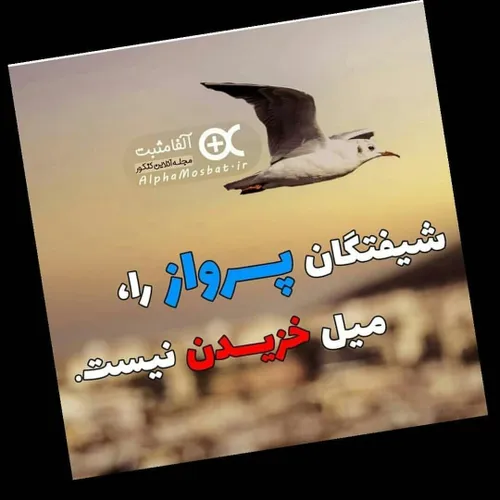 عکس نوشته asmavwv 33689393 - عکس ویسگون