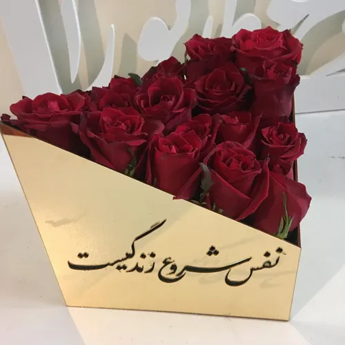 گوناگون masoudkani 26561019 - عکس ویسگون