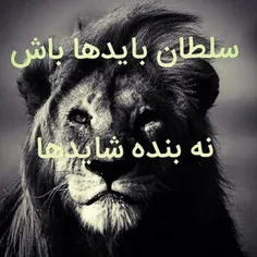 خطاب به بعضی ها