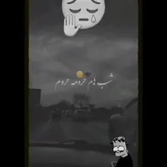 #هی_برگرد_میشح🥺💔