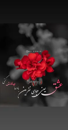 عاشقانه ها royya73 29302052