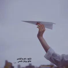 نه تقدیر،نه قسمت