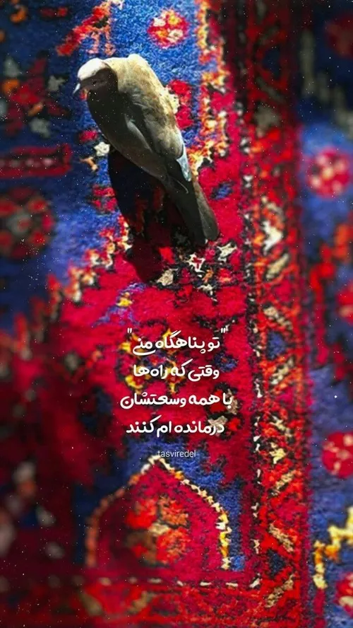 مهدی جان