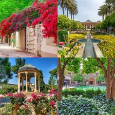 شیراز تو بهار زیباترین شهر ایرانه 🤩