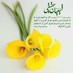 مذهبی aliataii 19641381