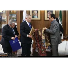 دیدار وزیر امور خارجه رومانی با رئیس اتاق بازرگانی ایران