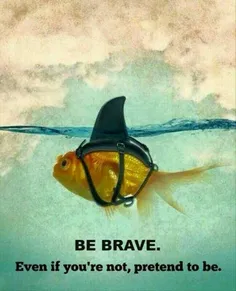 شجاع باش!..