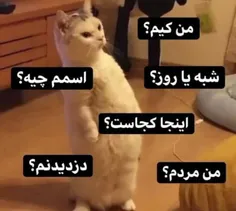 وقتی عصر پاییز می خوابی😐😐😂